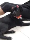 Kira
