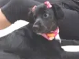 Kira