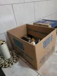 Bibi