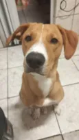 Rodolfo 