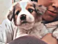 Rocky 