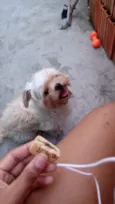 Bob