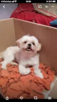 Bob