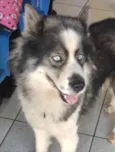 Zeus 