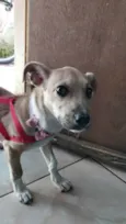 Kiara