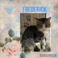 Frederick