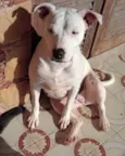 Princesa