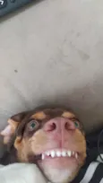 Pyke