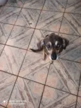 Dora 