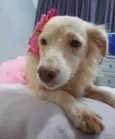 Frozen