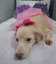 Frozen