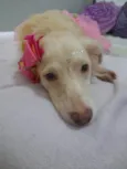 Frozen