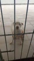 KIRA