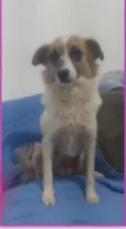 Sara