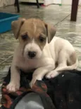 Caramela Galcê