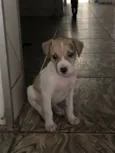 Caramela Galcê