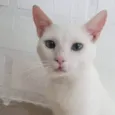 Fred