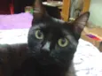 Lucy