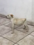 não tem nome