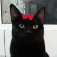 Pietra