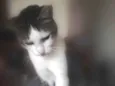Noé
