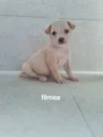 Nina
