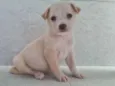 Nina