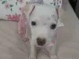 Pity
