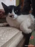 Mia
