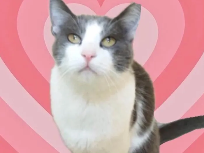 Fred lindo e um amor