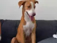 PRINCESA