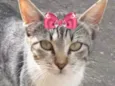 Mel 
