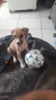 (Não colocamos nome)