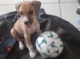 (Não colocamos nome)