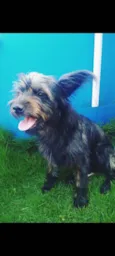 Kiara 
