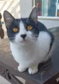Maggie