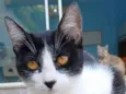 Maggie