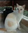 PRÍNCIPE