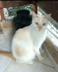 PRÍNCIPE