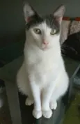 JOHN