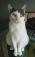 JOHN
