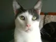 JOHN