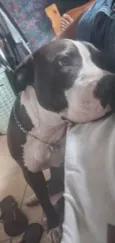 Beethoven 