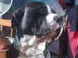 Beethoven 