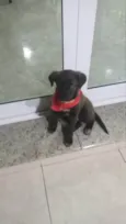 Emy