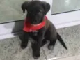 Emy