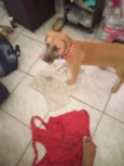 Mel