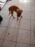 Mel