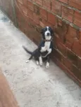 Meg