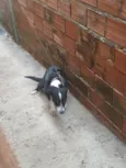 Meg